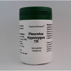 Pleurote Hypsizygus TR
