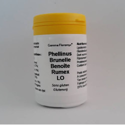 Phellinus Brunelle Benoite Rumex LO