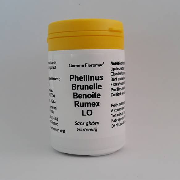 Phellinus Brunelle Benoite Rumex LO